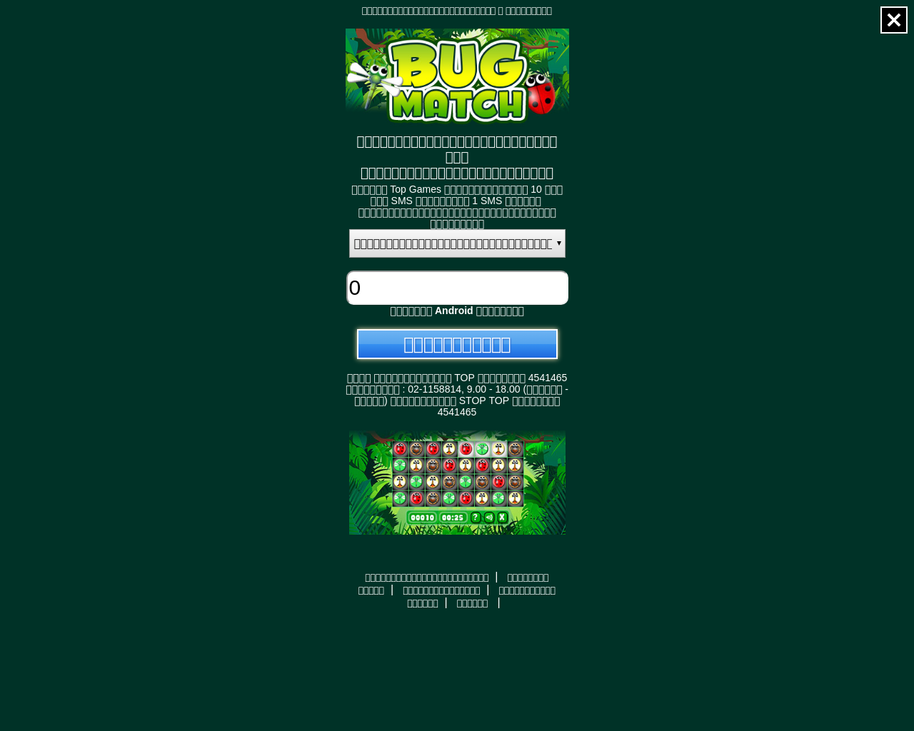  Play Bug Match